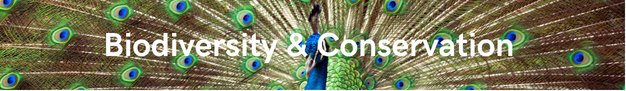 bioduversity